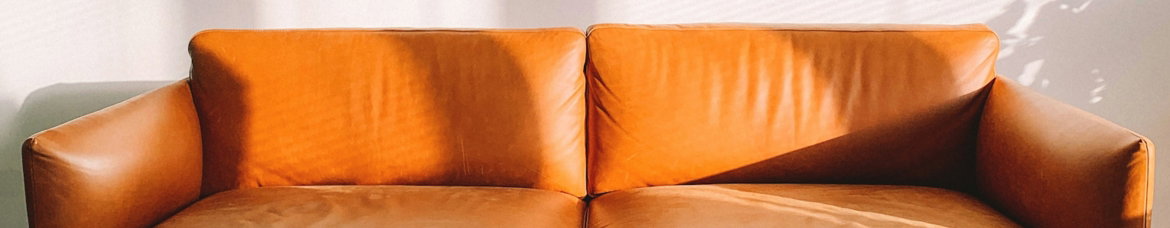 brown leather 2-seat sofa